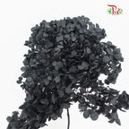 Preservative Hydrangea - Black / Per Stem - Pudu Ria Florist Southern