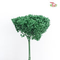 Preservative Hydrangea - Green / Per Stem - Pudu Ria Florist Southern