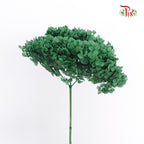 Preservative Hydrangea - Green / Per Stem - Pudu Ria Florist Southern