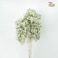 Preservative Hydrangea Peegee Green - Pudu Ria Florist Southern