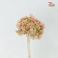 Preservative Hydrangea Royal Khaki / Per Stem - Pudu Ria Florist Southern