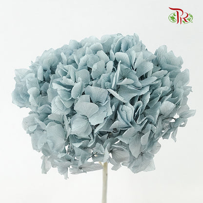 Preservative Hydrangea Royal Blue / Per Stem - Pudu Ria Florist Southern