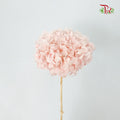 Preservative Hydrangea Royal Pink / Per Stem - Pudu Ria Florist Southern