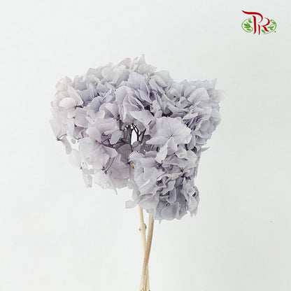 Preservative Hydrangea Royal Purple / Per Stem - Pudu Ria Florist Southern