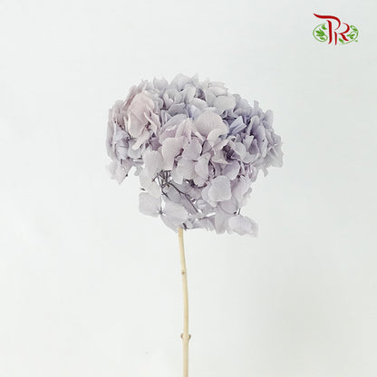 Preservative Hydrangea Royal Purple / Per Stem - Pudu Ria Florist Southern