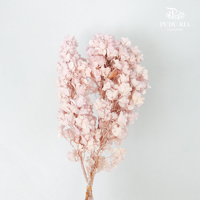 Preservative Hydrangea Snowflake Light Purple - Pudu Ria Florist Southern