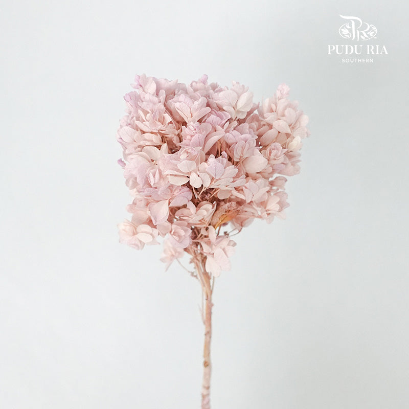 Preservative Hydrangea Snowflake Light Purple - Pudu Ria Florist Southern