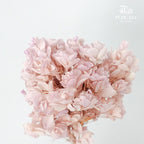Preservative Hydrangea Snowflake Light Purple - Pudu Ria Florist Southern