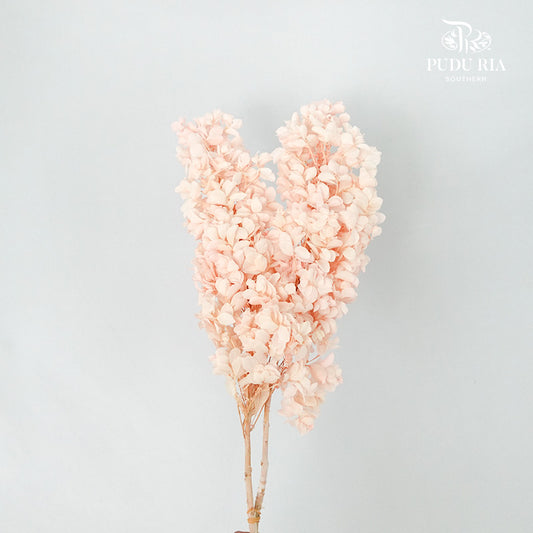 Preservative Hydrangea Snowflake Soft Pink - Pudu Ria Florist Southern