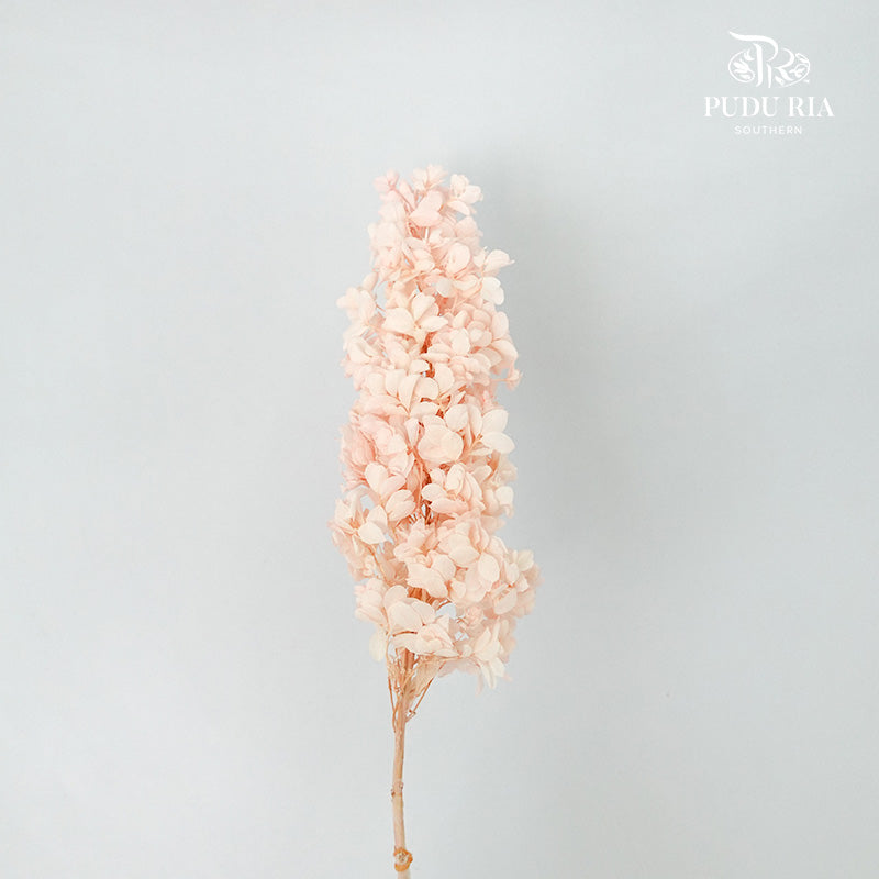 Preservative Hydrangea Snowflake Soft Pink - Pudu Ria Florist Southern
