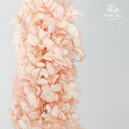 Preservative Hydrangea Snowflake Soft Pink - Pudu Ria Florist Southern
