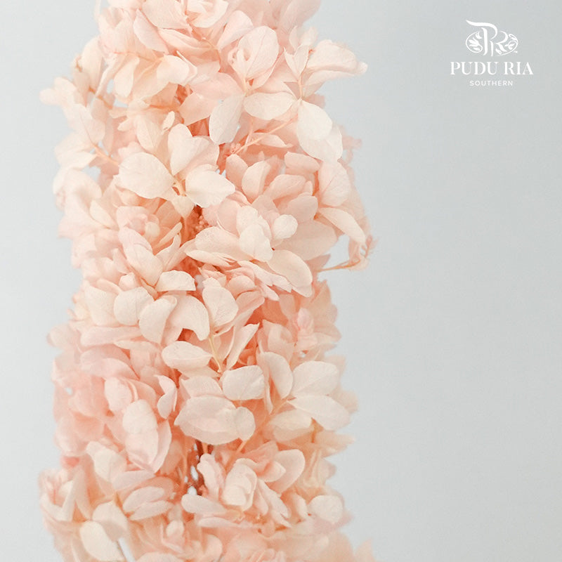 Preservative Hydrangea Snowflake Soft Pink - Pudu Ria Florist Southern