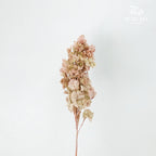 Preservative Hydrangea Snowflake Vintage - Pudu Ria Florist Southern