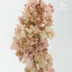 Preservative Hydrangea Snowflake Vintage - Pudu Ria Florist Southern