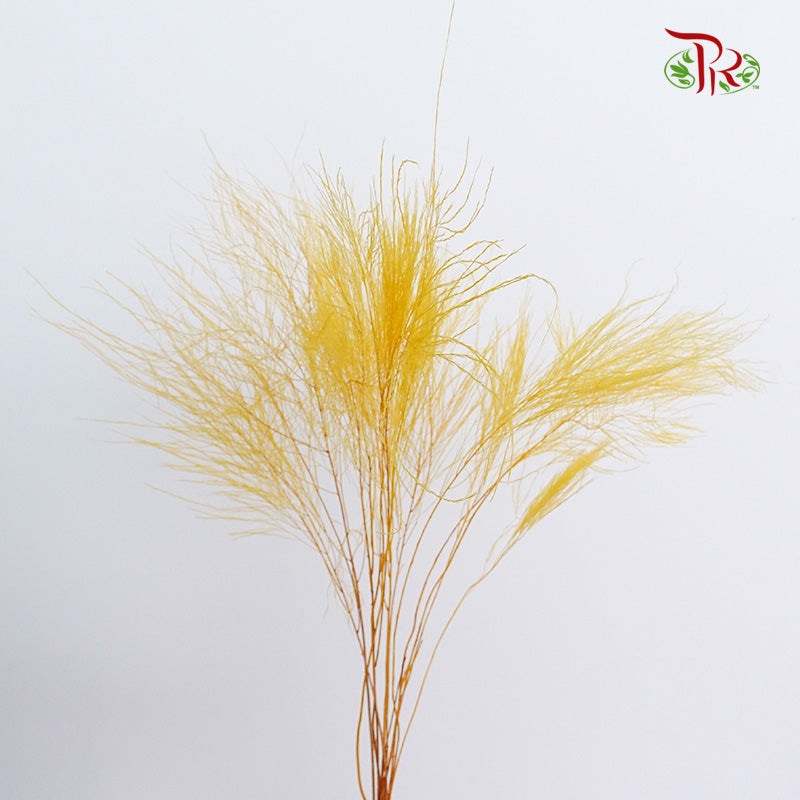 Preservative Luxuan Grass Yellow - Pudu Ria Florist Southern