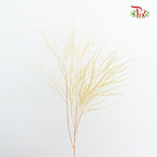 Preservative Luxuan Grass Yellow - Pudu Ria Florist Southern