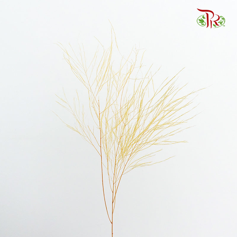 Preservative Luxuan Grass Yellow - Pudu Ria Florist Southern