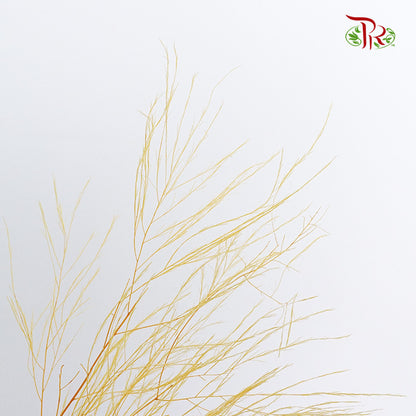 Preservative Luxuan Grass Yellow - Pudu Ria Florist Southern