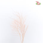 Preservative Luxuan Grass Pink - Pudu Ria Florist Southern