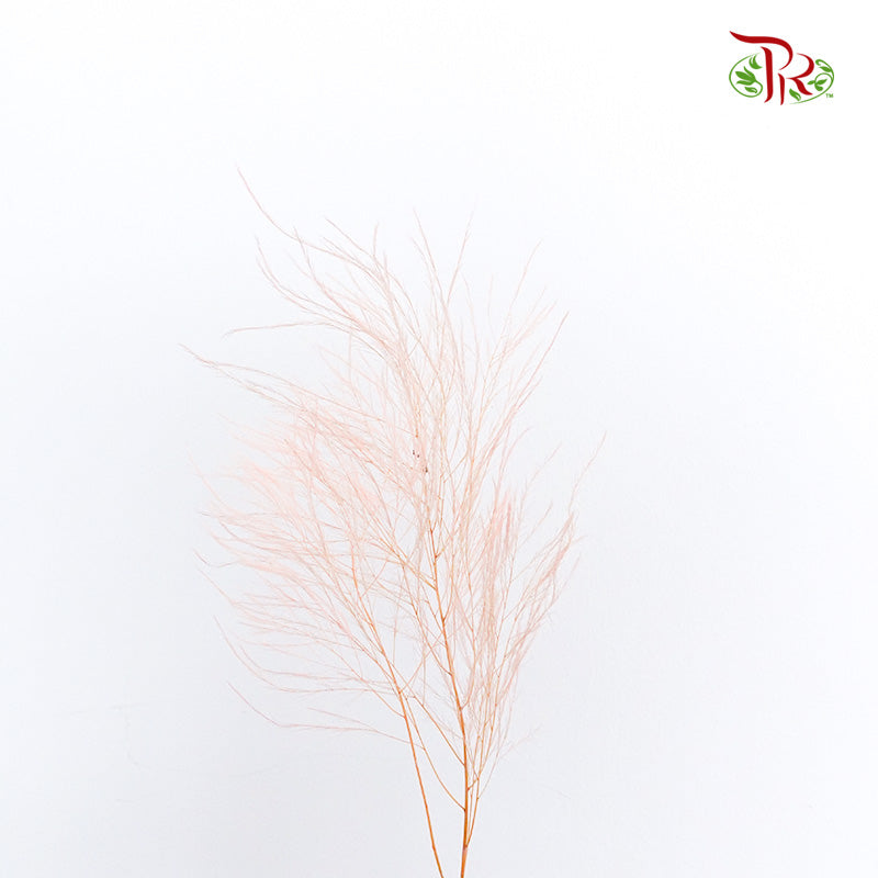 Preservative Luxuan Grass Pink - Pudu Ria Florist Southern
