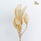 Preservative Magnolia - Pudu Ria Florist Southern
