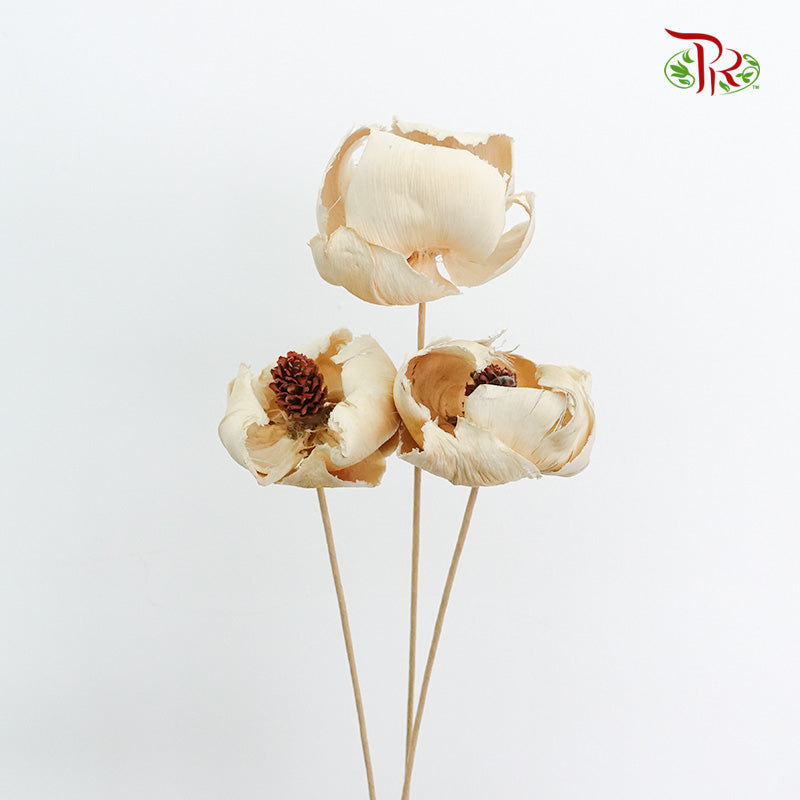 Preservative Palm Flower - White - Pudu Ria Florist Southern