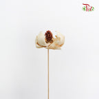Preservative Palm Flower - White - Pudu Ria Florist Southern