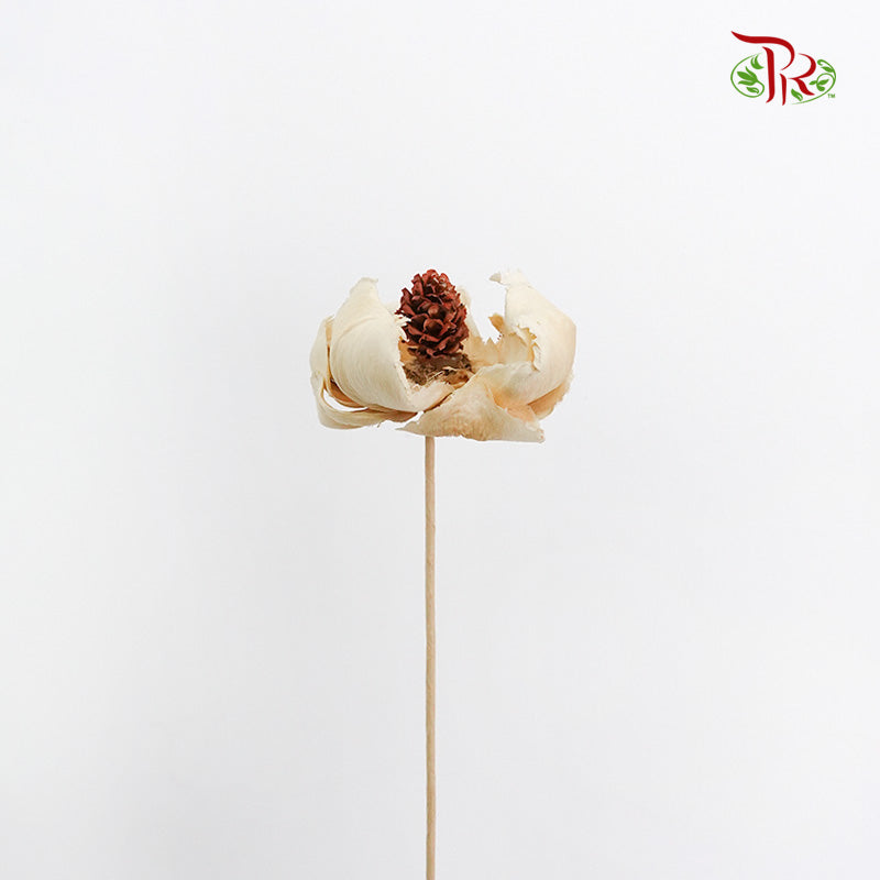 Preservative Palm Flower - White - Pudu Ria Florist Southern