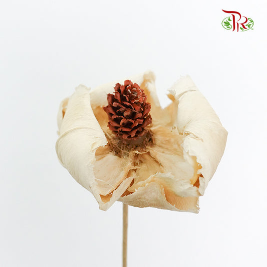 Preservative Palm Flower - White - Pudu Ria Florist Southern