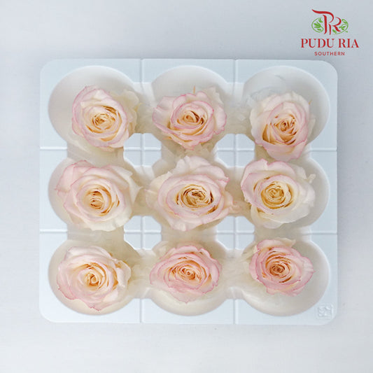 Preservative Rose Izumi Hanairo - Peach Pink - Pudu Ria Florist Southern