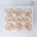 Preservative Rose Izumi Hanairo - Peach Pink - Pudu Ria Florist Southern
