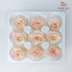 Preservative Rose Izumi Hanairo - Peach Pink - Pudu Ria Florist Southern