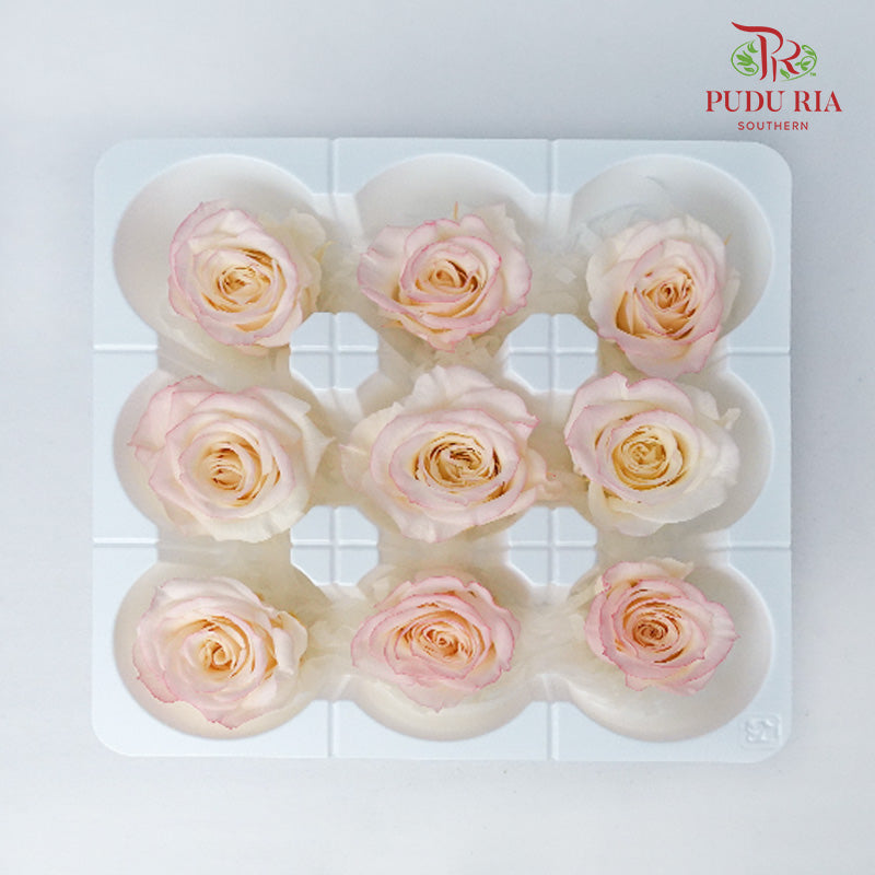 Preservative Rose Izumi Hanairo - Peach Pink - Pudu Ria Florist Southern