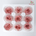 Preservative Rose Izumi Hanairo - Vintage - Pudu Ria Florist Southern