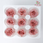 Preservative Rose Izumi Hanairo - Vintage - Pudu Ria Florist Southern