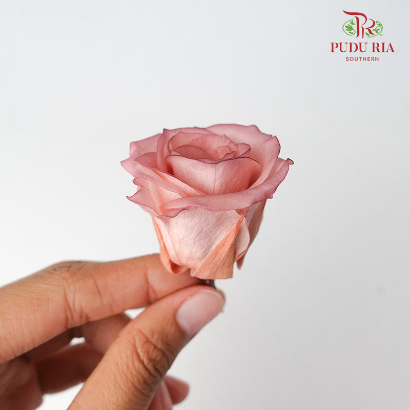 Preservative Rose Izumi Hanairo - Vintage - Pudu Ria Florist Southern