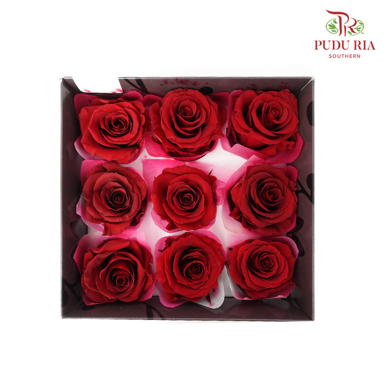 Preservative Rose Kanon - Maroon - Pudu Ria Florist Southern