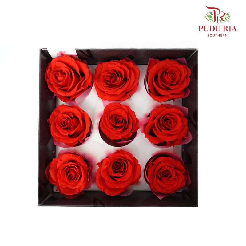 Preservative Rose Kanon - Red - Pudu Ria Florist Southern