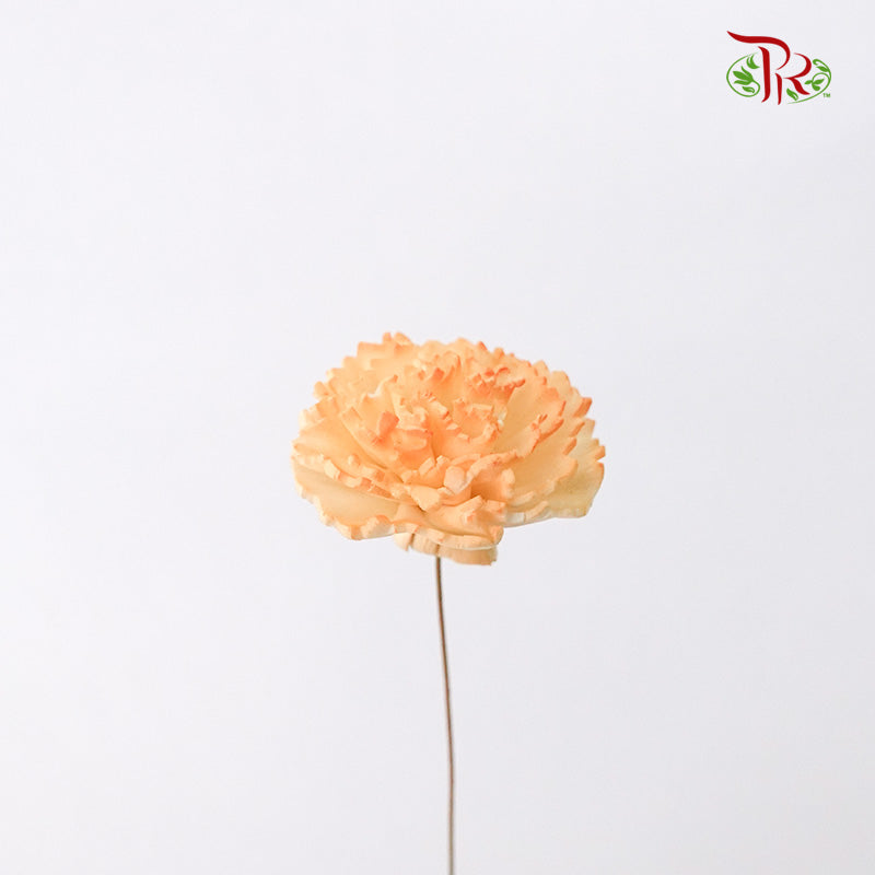 Preservative Sola Chiffon Carnation - Pudu Ria Florist Southern