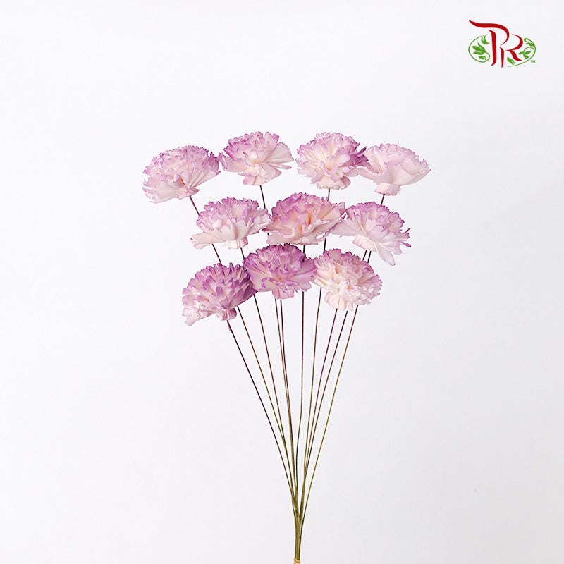 Preservative Sola Chiffon Carnation - Pudu Ria Florist Southern