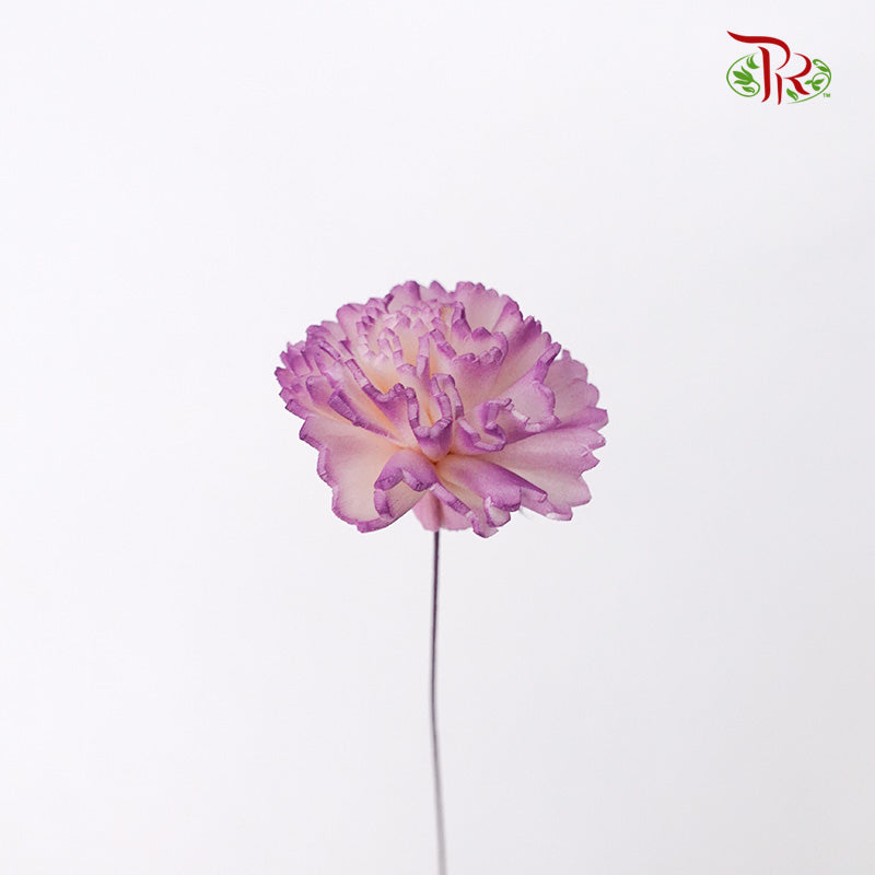 Preservative Sola Chiffon Carnation - Pudu Ria Florist Southern