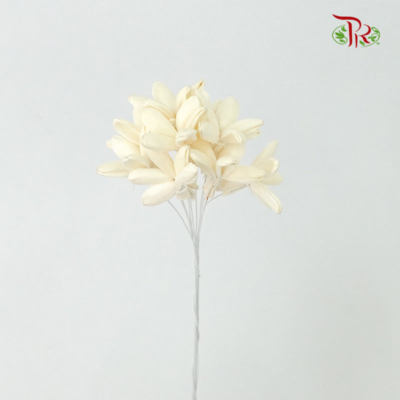 Preservative Sola Jasmine White - Pudu Ria Florist Southern