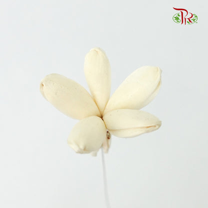 Preservative Sola Jasmine White - Pudu Ria Florist Southern