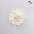 Preservative Sola Marguerite Head - Pudu Ria Florist Southern