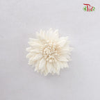 Preservative Sola Marguerite Head - Pudu Ria Florist Southern
