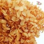 Preservative Hydrangea - Coffe  / Per Stem - Pudu Ria Florist Southern