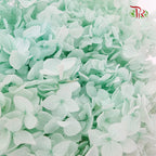 Preservative Hydrangea - Mint Green / Per Stem - Pudu Ria Florist Southern