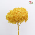 Preservative Hydrangea - Yellow/ Per Stem - Pudu Ria Florist Southern