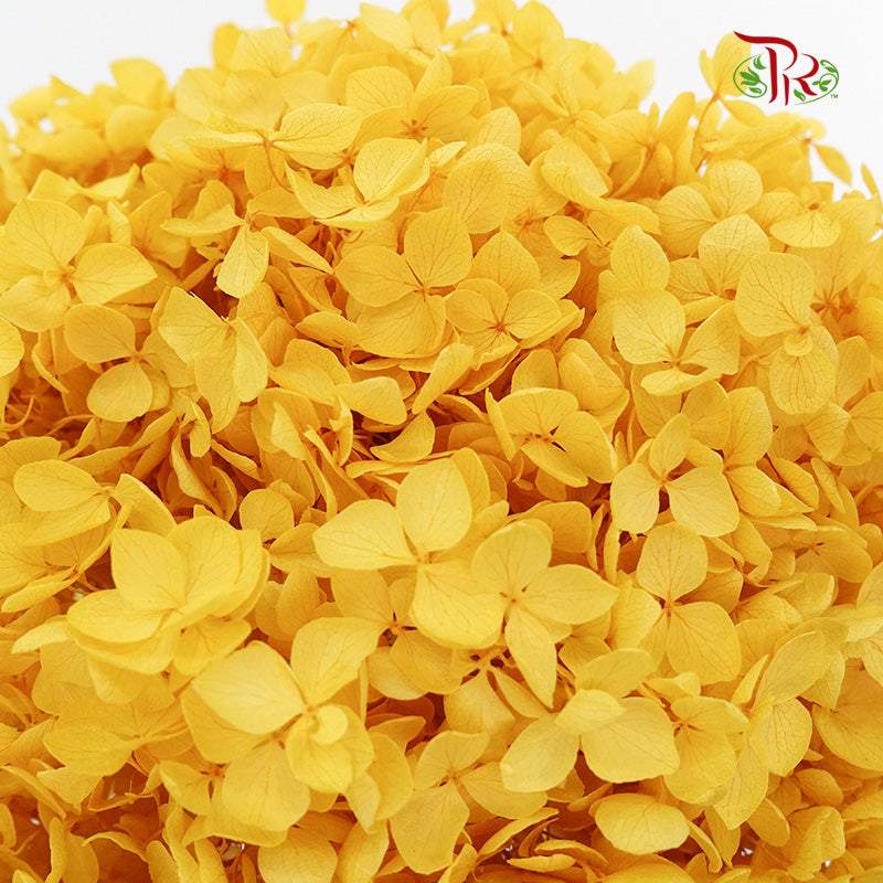 Preservative Hydrangea - Yellow/ Per Stem - Pudu Ria Florist Southern