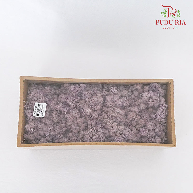 Preservative Reindeer Moss - Purple - Pudu Ria Florist Southern
